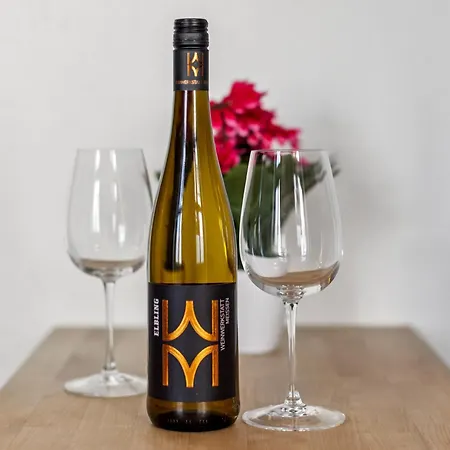 Royal Panometer - Free Parking Apartamento *